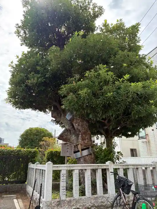 安国院(千葉県)