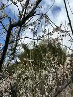 清勝寺(兵庫県)