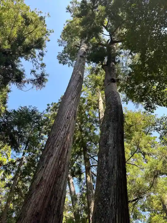 伊勢神宮内宮(皇大神宮)(三重県)