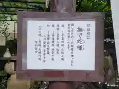 川越熊野神社の建物その他