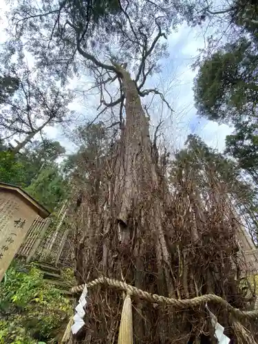 貴船神社結社の自然