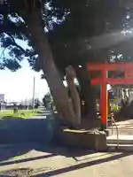 道路衢神(茨城県)