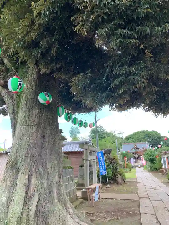 境香取神社の自然