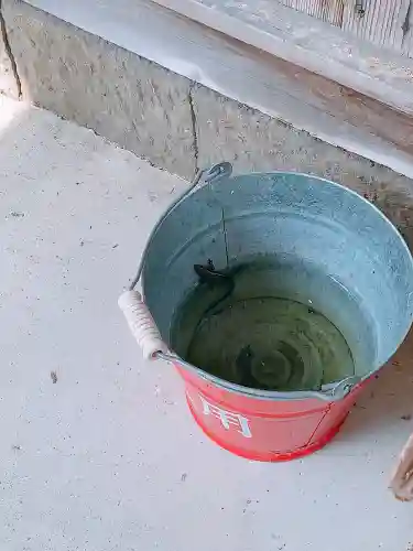 川田八幡神社の動物