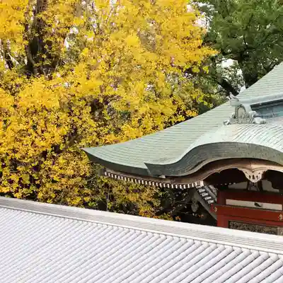 温泉山 安楽寺(四国霊場第六番札所)のその他建物