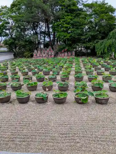 喜光寺(奈良県)