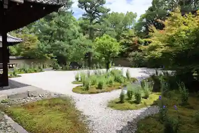廬山寺(廬山天台講寺)(京都府)