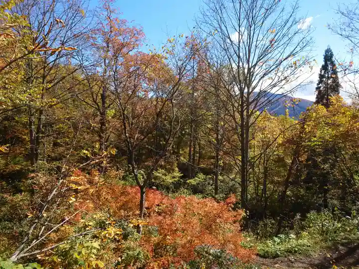 戸隠神社九頭龍社(長野県)
