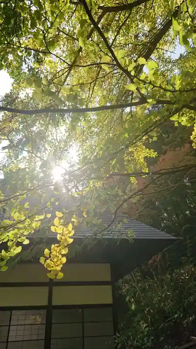 安楽寺のその他建物