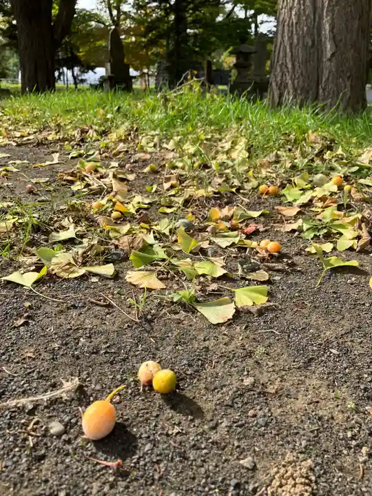 花畔神社(北海道)