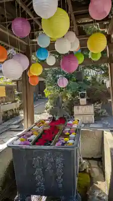 柳谷観音　楊谷寺(京都府)