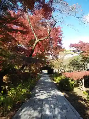 陽林寺のその他建物