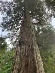 日枝神社(岐阜県)