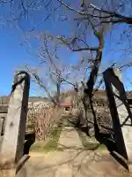 長念寺の{uncategorized: "未分類", other: "その他", undefined: "問題あり", building: "その他建物", grave: "お墓", sacred_gate: "鳥居", guardian: "狛犬", statue: "像", buddha: "仏像", history: "歴史", nature: "自然", garden: "庭園", animal: "動物", pagoda: "塔", temizu: "手水舎", mountain_gate: "山門・神門", sanctuary: "本殿・本堂", subordinate: "末社・摂社", art: "芸術", scenery: "景色", jizo: "地蔵", ema: "絵馬", goshuin: "御朱印", omikuji: "おみくじ", items: "授与品その他", amulet: "お守り", goshuincho: "御朱印帳", eats: "食事", festival: "お祭り", votive_dance: "神楽", shichigosan: "七五三参", wedding: "結婚式", experience: "体験その他", initially: "初詣", around: "周辺", anti_infection: "感染症対策"}