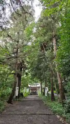 三ケ尻八幡神社(埼玉県)