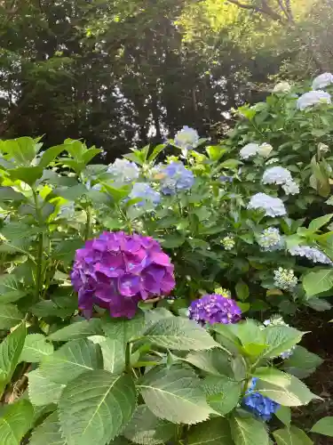 持寳院(多氣山不動尊)(栃木県)