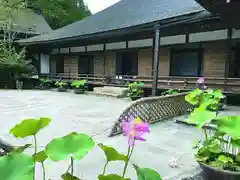 蓮華定院の建物その他