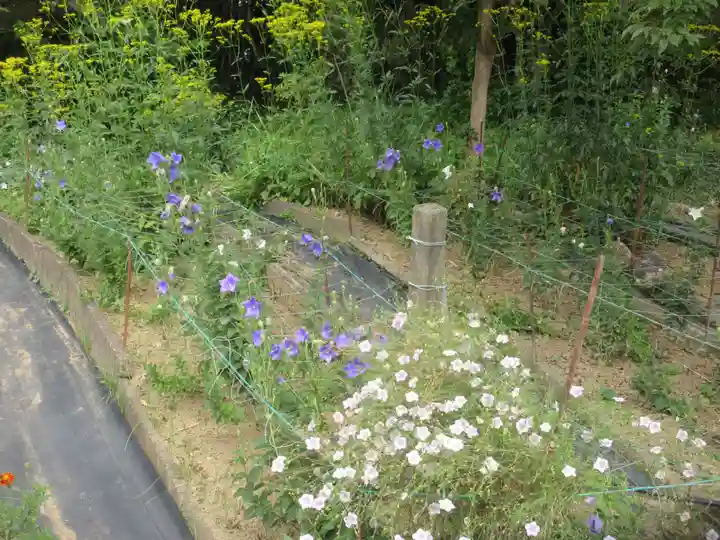 香勝寺(静岡県)