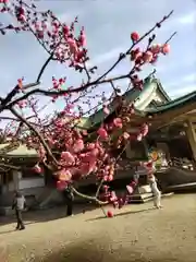 豊國神社の自然