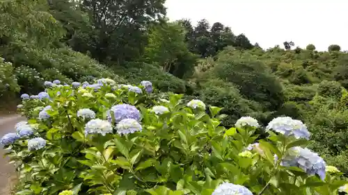 妙法生寺の庭園