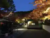 禅林寺(永観堂)(京都府)