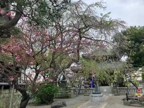 本覚寺(神奈川県)