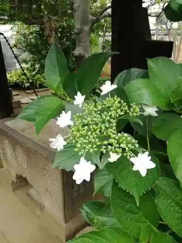 長久院のその他建物