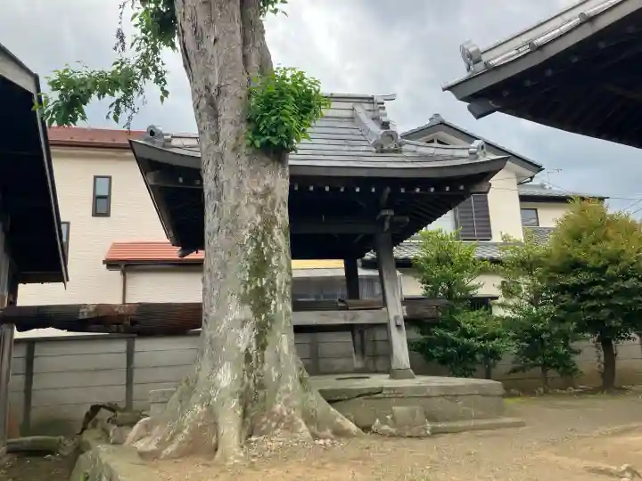 八幡神社の{uncategorized: "未分類", other: "その他", undefined: "問題あり", building: "その他建物", grave: "お墓", sacred_gate: "鳥居", guardian: "狛犬", statue: "像", buddha: "仏像", history: "歴史", nature: "自然", garden: "庭園", animal: "動物", pagoda: "塔", temizu: "手水舎", mountain_gate: "山門・神門", sanctuary: "本殿・本堂", subordinate: "末社・摂社", art: "芸術", scenery: "景色", jizo: "地蔵", ema: "絵馬", goshuin: "御朱印", omikuji: "おみくじ", items: "授与品その他", amulet: "お守り", goshuincho: "御朱印帳", eats: "食事", festival: "お祭り", votive_dance: "神楽", shichigosan: "七五三参", wedding: "結婚式", experience: "体験その他", initially: "初詣", around: "周辺", anti_infection: "感染症対策"}