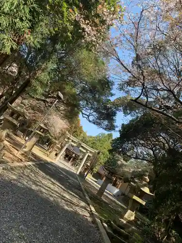 日吉神社(山口県)