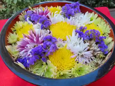 増上寺塔頭 三縁山 宝珠院のその他建物