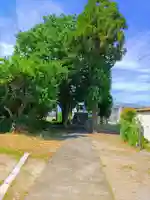 愛宕社(杉山)の自然