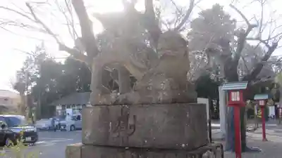 鷲宮神社(埼玉県)