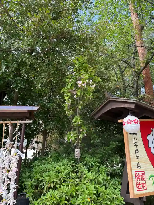 櫻木神社の{uncategorized: "未分類", other: "その他", undefined: "問題あり", building: "その他建物", grave: "お墓", sacred_gate: "鳥居", guardian: "狛犬", statue: "像", buddha: "仏像", history: "歴史", nature: "自然", garden: "庭園", animal: "動物", pagoda: "塔", temizu: "手水舎", mountain_gate: "山門・神門", sanctuary: "本殿・本堂", subordinate: "末社・摂社", art: "芸術", scenery: "景色", jizo: "地蔵", ema: "絵馬", goshuin: "御朱印", omikuji: "おみくじ", items: "授与品その他", amulet: "お守り", goshuincho: "御朱印帳", eats: "食事", festival: "お祭り", votive_dance: "神楽", shichigosan: "七五三参", wedding: "結婚式", experience: "体験その他", initially: "初詣", around: "周辺", anti_infection: "感染症対策"}