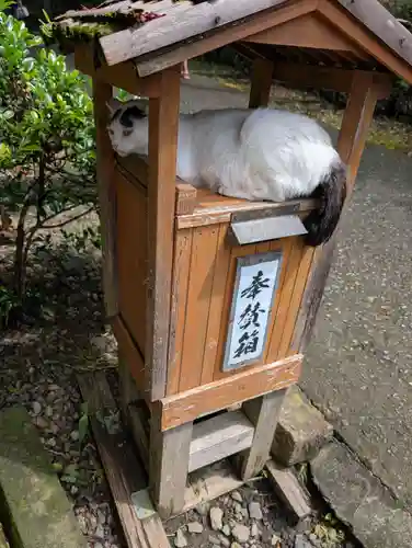 唐澤山神社(栃木県)