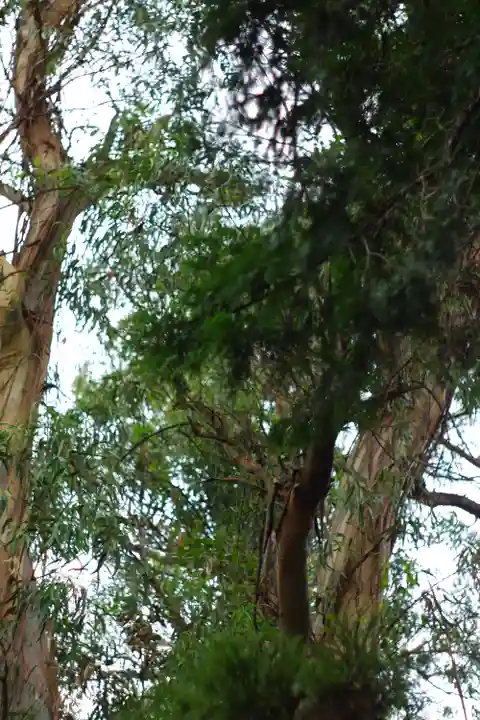 元城町東照宮の自然