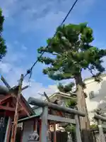 御嶽榛名稲荷(東京都)