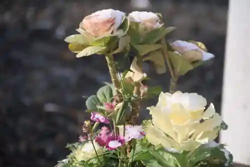 熊野福藏神社の手水舎