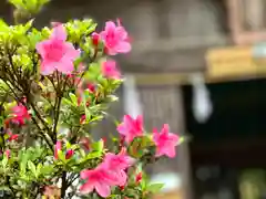 菱野健功神社の自然