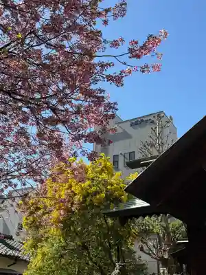 蔵前神社の{uncategorized: "未分類", other: "その他", undefined: "問題あり", building: "その他建物", grave: "お墓", sacred_gate: "鳥居", guardian: "狛犬", statue: "像", buddha: "仏像", history: "歴史", nature: "自然", garden: "庭園", animal: "動物", pagoda: "塔", temizu: "手水舎", mountain_gate: "山門・神門", sanctuary: "本殿・本堂", subordinate: "末社・摂社", art: "芸術", scenery: "景色", jizo: "地蔵", ema: "絵馬", goshuin: "御朱印", omikuji: "おみくじ", items: "授与品その他", amulet: "お守り", goshuincho: "御朱印帳", eats: "食事", festival: "お祭り", votive_dance: "神楽", shichigosan: "七五三参", wedding: "結婚式", experience: "体験その他", initially: "初詣", around: "周辺", anti_infection: "感染症対策"}