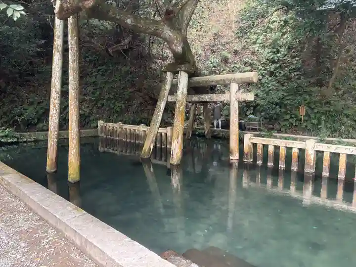 奥宮(鹿島神宮摂社)(茨城県)