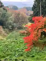 西蓮寺(茨城県)
