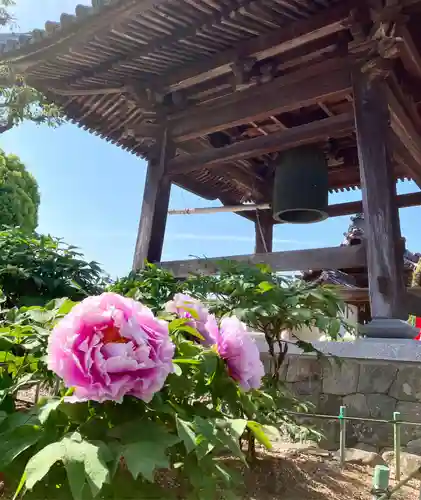 真言宗　善通寺派　薬王寺(香川県)
