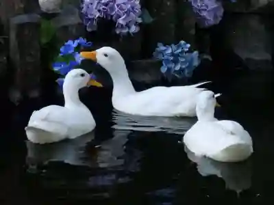 楽法寺（雨引観音）(茨城県)