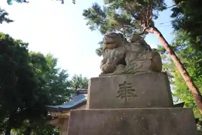 天沼八幡神社の狛犬