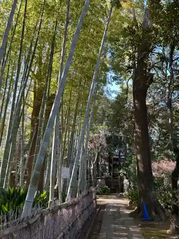 妙福寺の{uncategorized: "未分類", other: "その他", undefined: "問題あり", building: "その他建物", grave: "お墓", sacred_gate: "鳥居", guardian: "狛犬", statue: "像", buddha: "仏像", history: "歴史", nature: "自然", garden: "庭園", animal: "動物", pagoda: "塔", temizu: "手水舎", mountain_gate: "山門・神門", sanctuary: "本殿・本堂", subordinate: "末社・摂社", art: "芸術", scenery: "景色", jizo: "地蔵", ema: "絵馬", goshuin: "御朱印", omikuji: "おみくじ", items: "授与品その他", amulet: "お守り", goshuincho: "御朱印帳", eats: "食事", festival: "お祭り", votive_dance: "神楽", shichigosan: "七五三参", wedding: "結婚式", experience: "体験その他", initially: "初詣", around: "周辺", anti_infection: "感染症対策"}