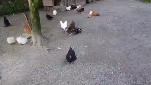 石上神宮(奈良県)