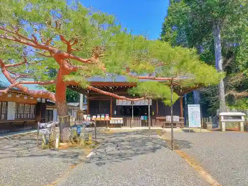 尾張冨士大宮浅間神社の自然