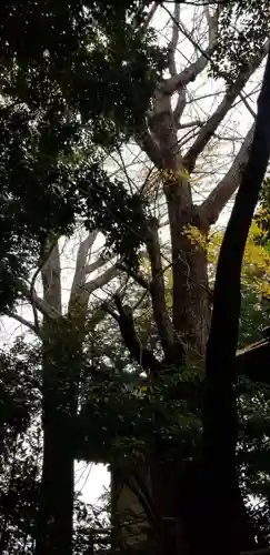 諏方神社(東京都)