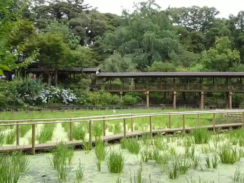 本土寺の景色