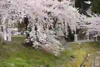 高司神社〜むすびの神の鎮まる社〜の自然